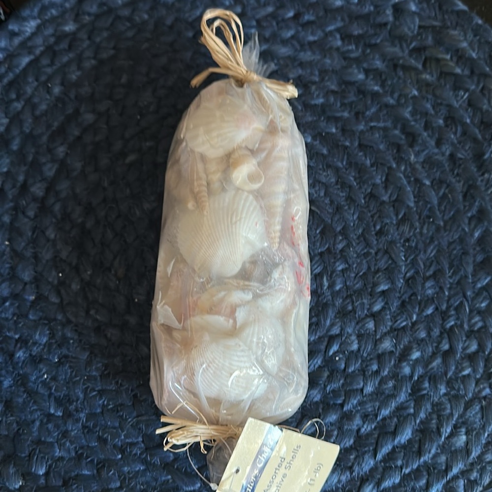New Decorators Choice - Shells 16 oz. (1 lbs) - Picture 4 of 5